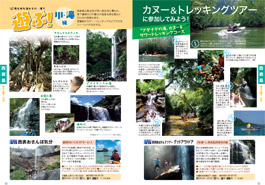 遊び方