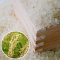 2010ǯ�ٿ��ơ�����������г��绺�ҤȤ�ܤ졡2kg
