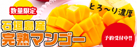 マンゴー
