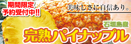 パイナップル