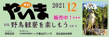 月刊やいま12月号
