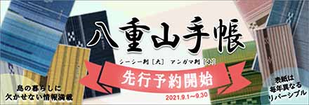 先行予約八重山手帳2022